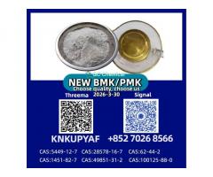 Manufacturer Grade PM.K Oil CAS 28578-16-7 | Competitive Price