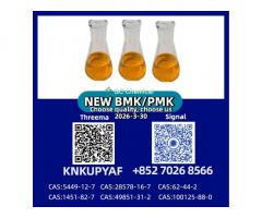 PM.K CAS 28578-16-7 Supplier | BM.K CAS 5449-12-7 High Purity