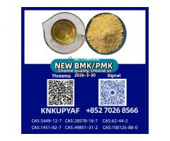 BM.K 5449-12-7 Powder Supplier | PM.K 28578-16-7 Oil Export