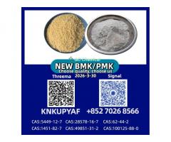 PM.K Oil 28578-16-7 & BM.K Powder 5449-12-7 Bulk Manufacturer