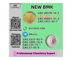 Premium Global Shipping BM.K 5449-12-7 and 28578-16-7