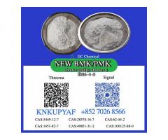 PMK 28578-16-7 plus BMK 5449-12-7 no issue for supply