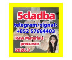 5cl-adb Powder Supplier 5cl Adb 5cladba In Stock at Best Price