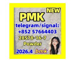 PMK ethyl glycidate (NSC 195099, CAS Number: 28578-16-7)