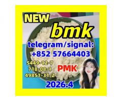 cas 5449-12-7 BMK Powder glycidate Bmk Glycidic Acid - Hong Kong