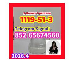 5-Bromo-1-pentene CAS 1119-51-3  ryjtyjyy