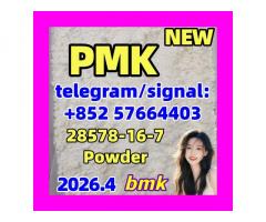‎CAS 28578-16-7 pmk powder