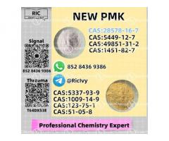 P.mk Glycidic Acid CAS 28578-16-7 B.MK 41232 97 7