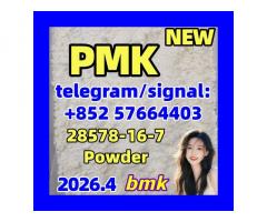 High Purity P.M.K Oil CAS 28578-16-7