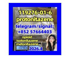 119276-01-6 Protonitazene (hydrochloride)