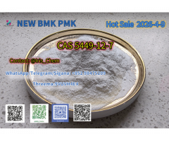 NEW P.MK B.MK CAS 5449-12-7 & CAS 1451-82-7 Raw Materials Precursor
