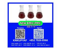 p.m.k 28578-16-7 available, CAS BMK 5449-12-7 no problem