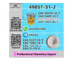 Prepared for dispatch 49851-31-2 With PM.K 28578-16-7 Plus B.MK